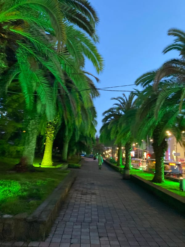Green-lit palm walkway observed in Sochi, Russia