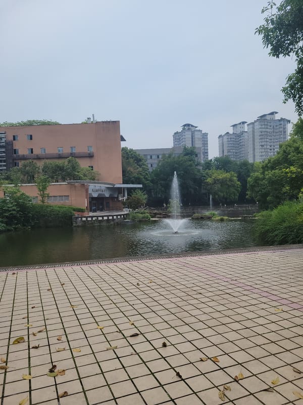 Morning scenes captured in Shapingba District park, Chongqing