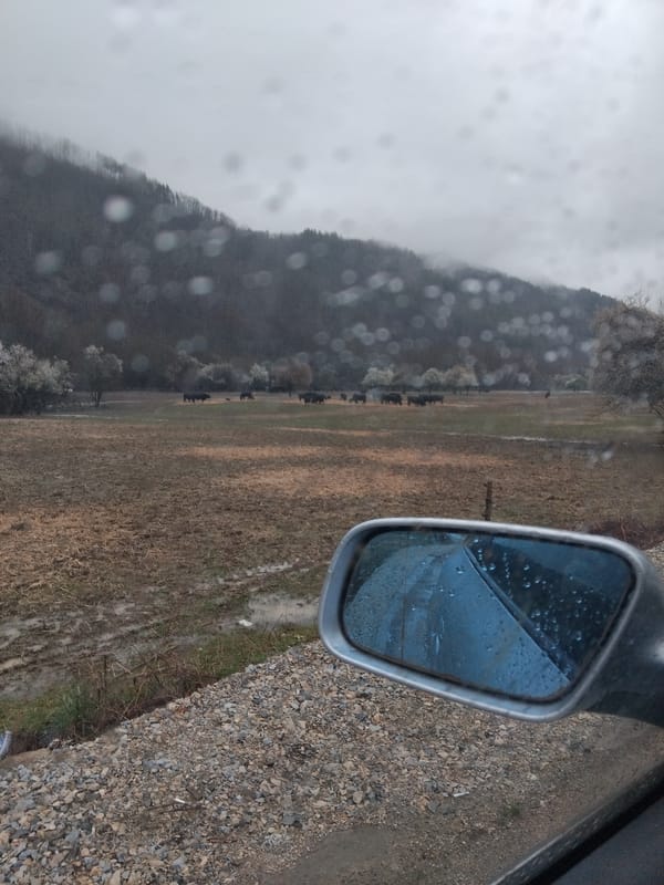 Rainy weather documented on rural road near Velchevo, Bulgaria