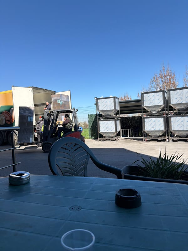 Forklift unloads trailer with crew assistance in Lozen, Bulgaria