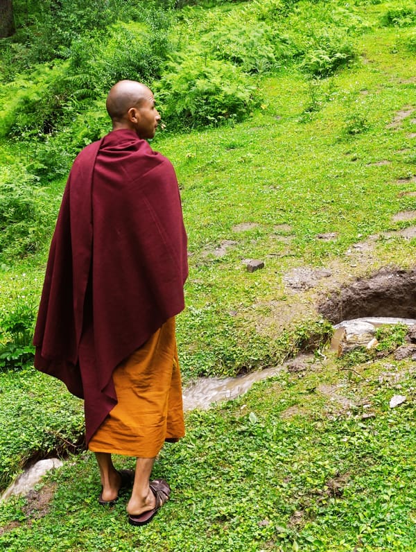 Forest walks, stupas, and wildlife around Manali's mountain trails