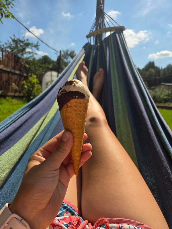 Dacha summer day: hammocks, lizards, a Sphynx cat, and raspberries