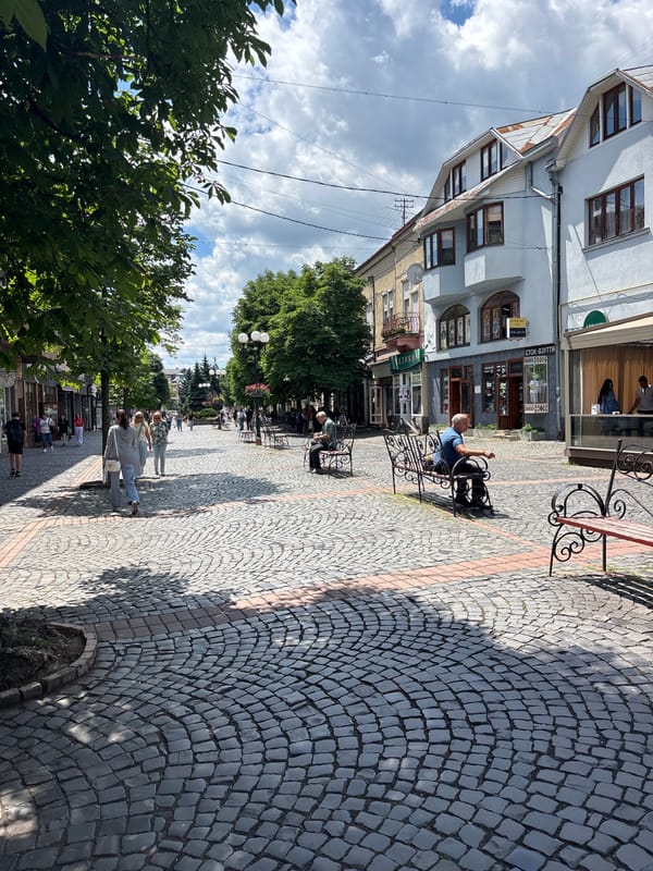 Cobblestone streets, flower beds, and local shops in a Ukrainian city