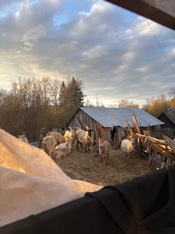 Family moments captured during afternoon in rural Russia