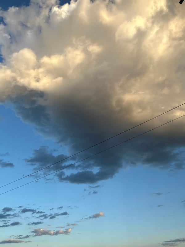 Summer skies and a tabby cat in Pisochyn, Ukraine