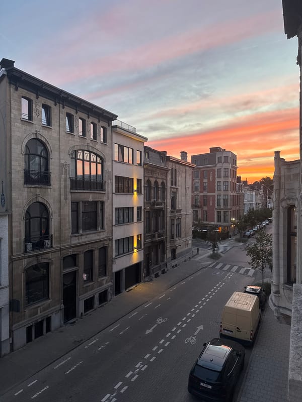 Antwerp at sunset: city streets, dumplings, and a flea market