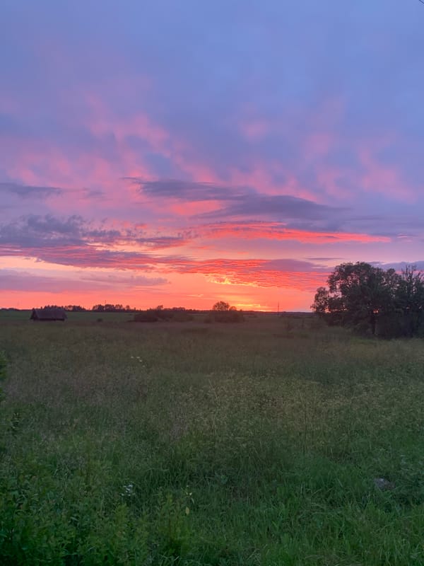 Sunset over a quiet Belarusian village, stork included