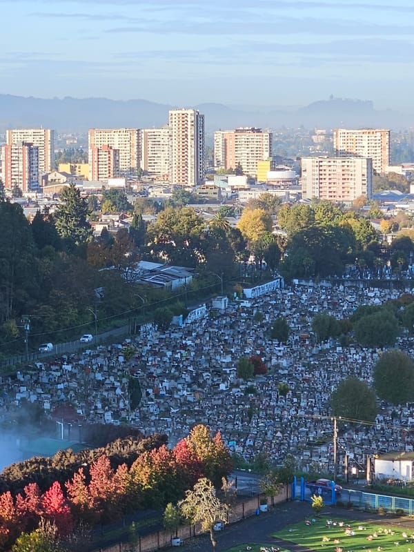 Outdoor camping and exercise activities documented near Temuco, Chile