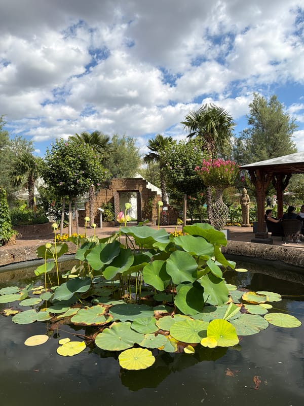 Afternoon in a Vienna botanical garden: lotus, statues, and turtles