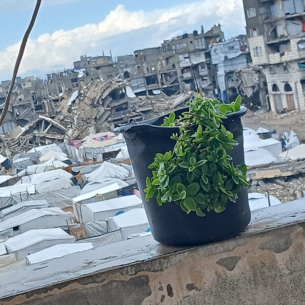 Witnesses document widespread destruction, daily life continuing in Gaza