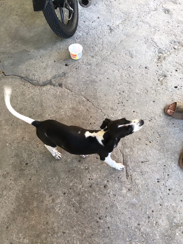 Evening street life documented in Altagracia, Venezuela