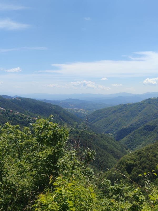 Mountain landscape documented in Pechinska, Bulgaria