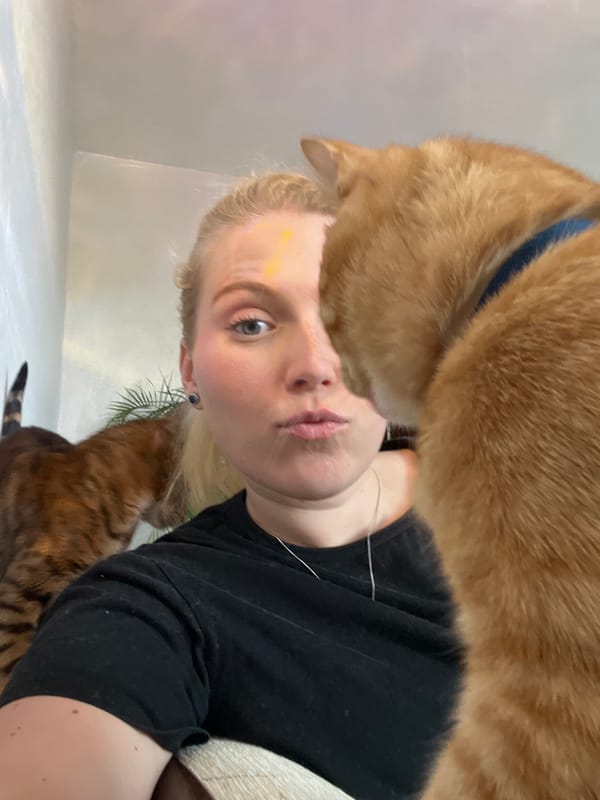 Woman and cats observed in modern Moscow residence