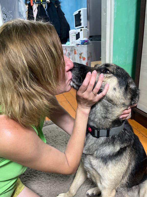 Dogs and cats living their best life in a Nizhny Tagil home