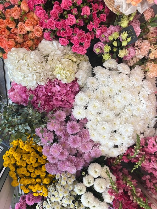 Poodle's afternoon in and around the house, flowers nearby