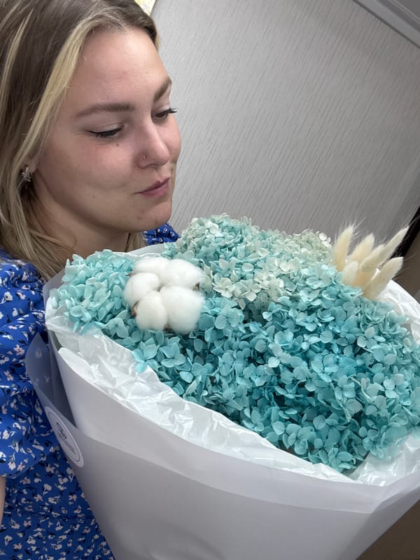 Dried blue hydrangea bouquet, fresh off the shelf in Noviy