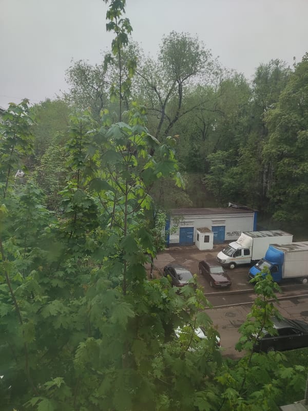Morning scenes captured in Khimki: parking area and curious cat