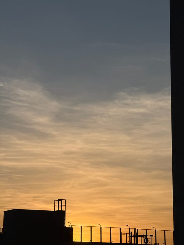 Ordinary moments captured in Yekaterinburg: twilight sky and cat