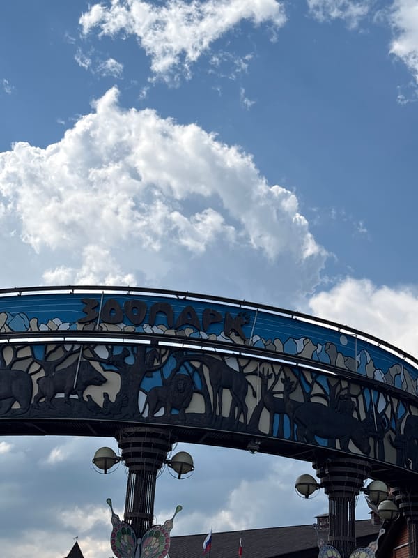 Visitor documents diverse wildlife exhibits at Izhevsk Zoo