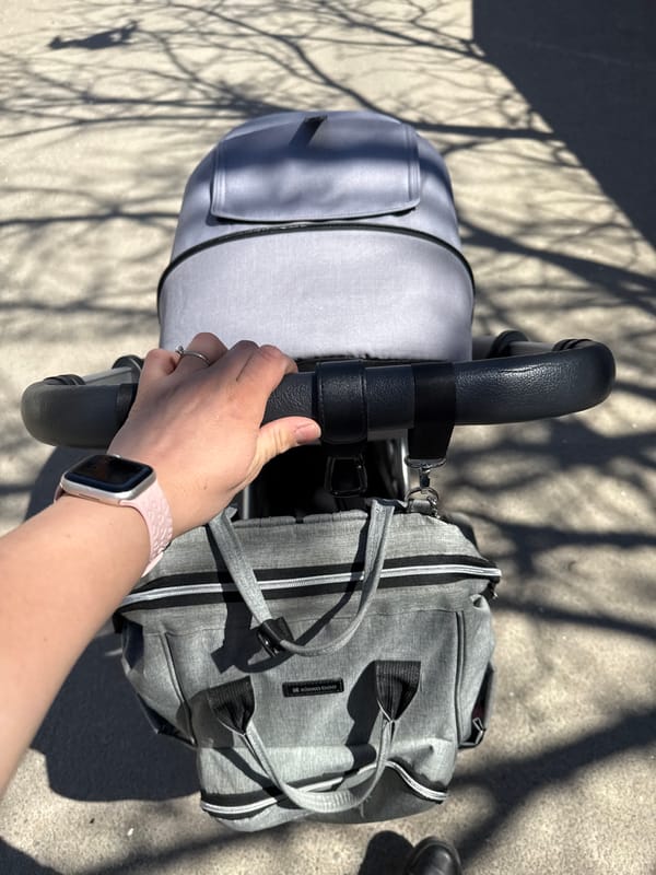 Parent pushes stroller with diaper bag in Sofia