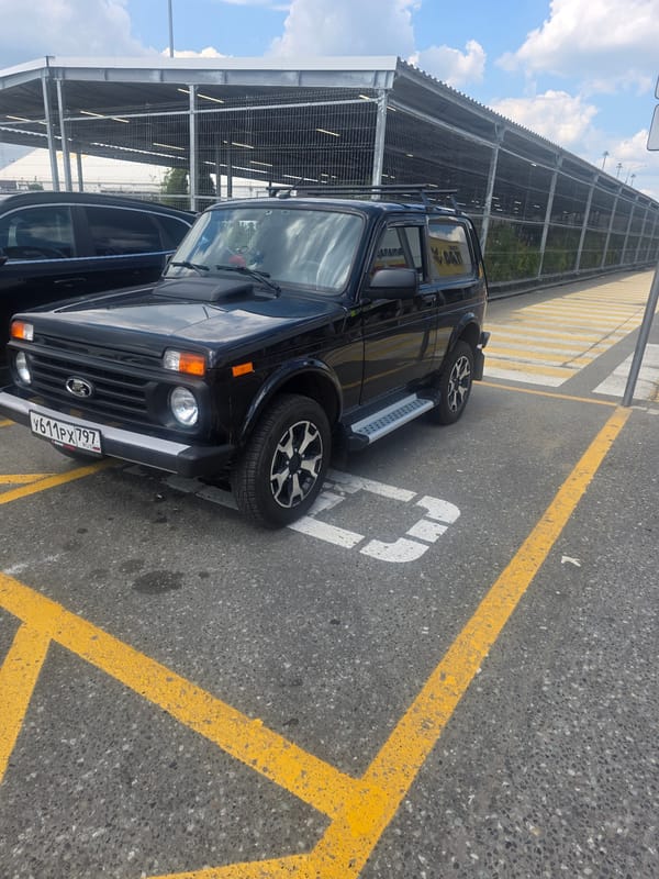 Vehicles parked, dog spotted on leash in retail area