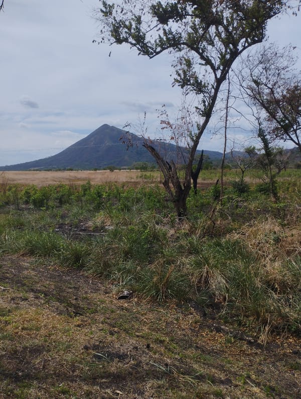 Rural Venezuelan landscape documented near Gamelotal under overcast evening sky