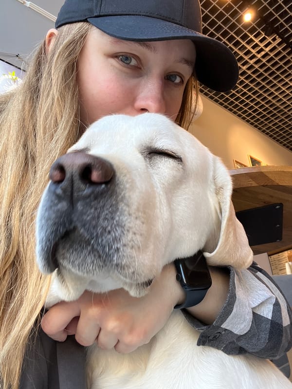 Early morning dog walking activities documented in Mytishchi, Russia