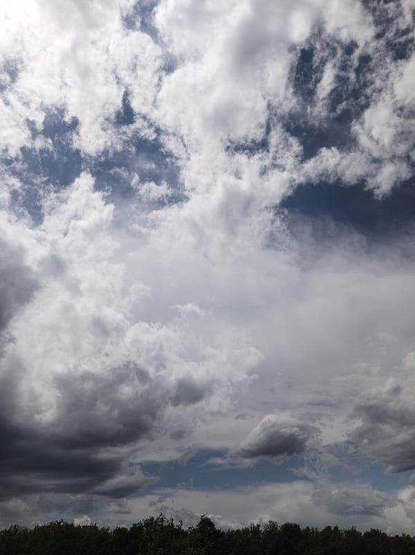 Cloudy skies observed over Gabrovo, Bulgaria treeline