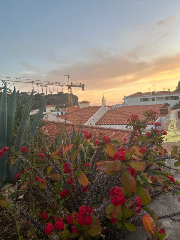 Sunset scenes documented in Câmara de Lobos, Portugal