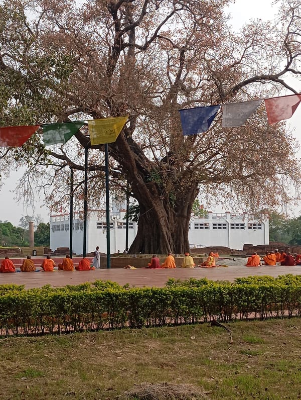 Orange-robed monks gather under prayer flag tree in Nepal