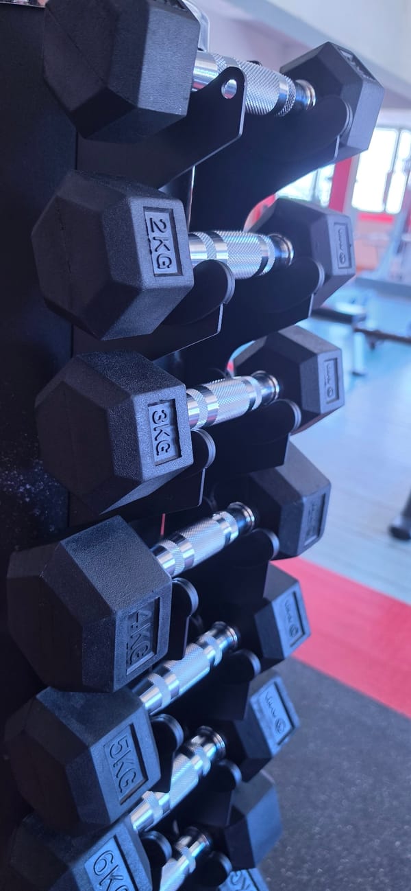 Gym equipment rack observed in Rudozem, Bulgaria