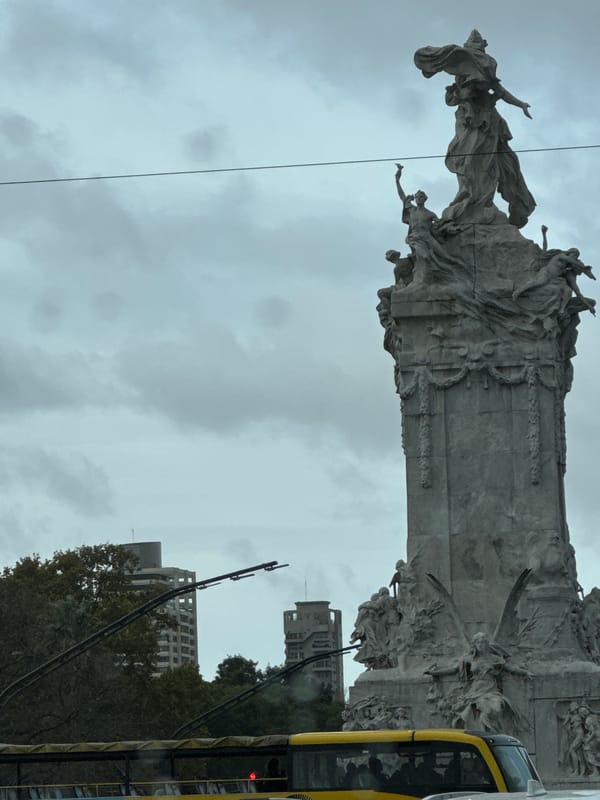 Afternoon stroll through Buenos Aires parks captures geese, monuments, streetscapes