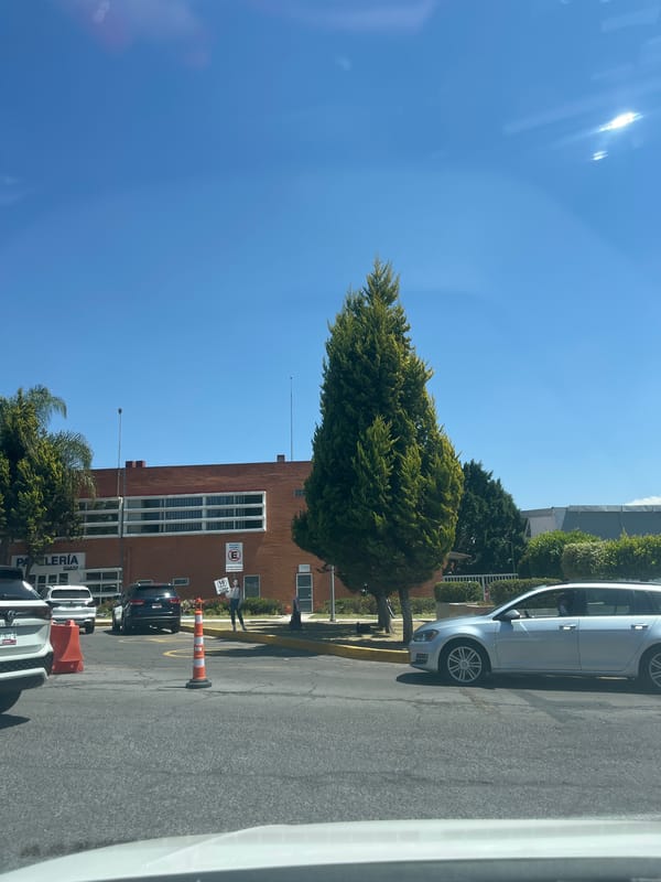 Vehicle journey through tree-lined streets of Puebla, Mexico documented