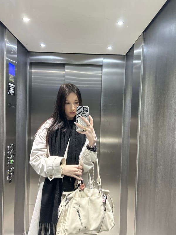 Woman takes elevator selfie in Cachan, France