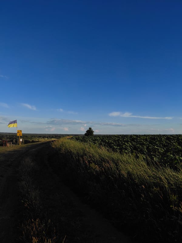 Rural Ukrainian countryside with hilltop swing and flag display