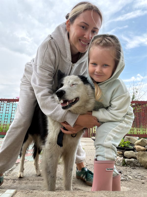 Family dog play and strawberry gardening observed in Kamyshin
