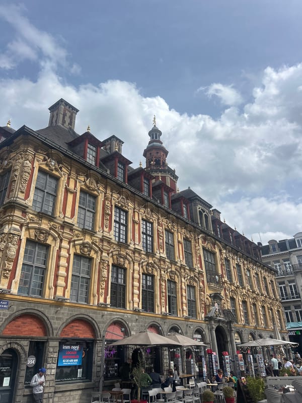 Tourist documents bustling afternoon at Lille's historic city center