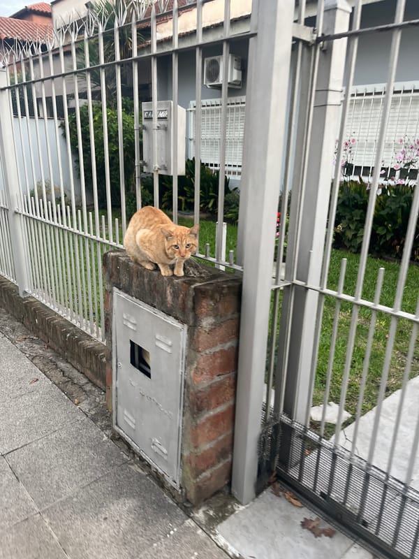 Evening street scenes captured in Monte Grande, Argentina