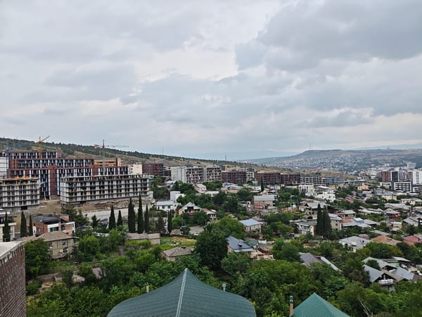 Tbilisi hillside views, city sprawl, and urban greenery