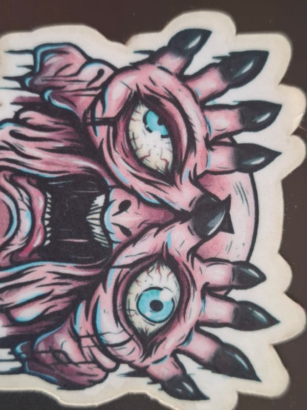 Gray tabby cat photographed in detailed close-ups in Novi Sad