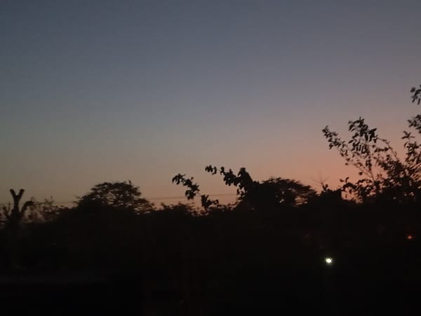 Woman poses for masked selfies in Juan Griego interior