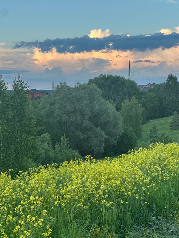 Sunset captured over green fields near Эстачи, Russia