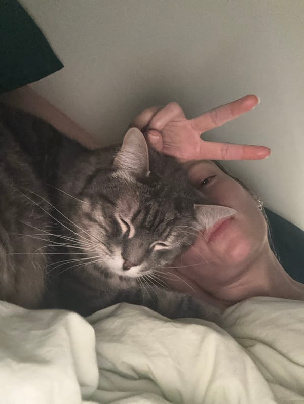Woman and tabby cat share quiet morning moments in Paris