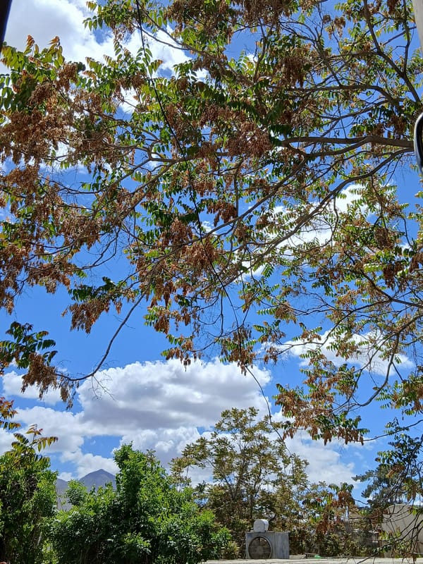 Morning street activity observed in Quetta City Tehsil