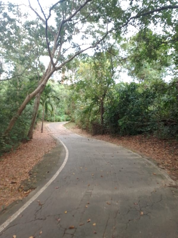 Visitor documents walkthrough of Parque Mãe Bonifácia in Cuiabá