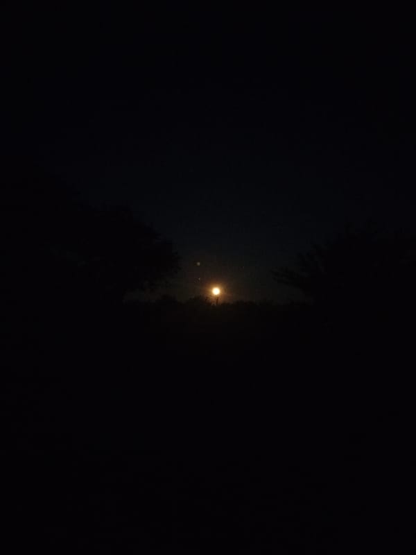 Day-to-night documentation captures routine moments in rural Ukrainian village