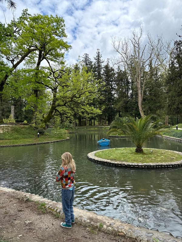 Child photographed among blooming azaleas in Zugdidi park