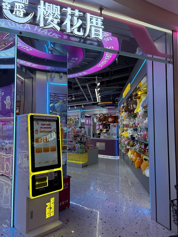 Retail browsing across a Minhang shopping strip