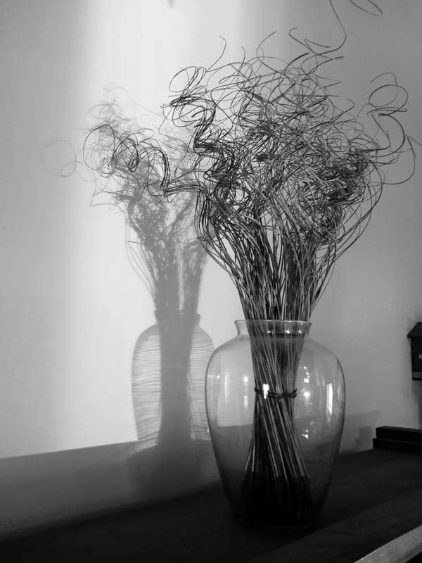 Interior photography captures home décor in Montalbán, Venezuela