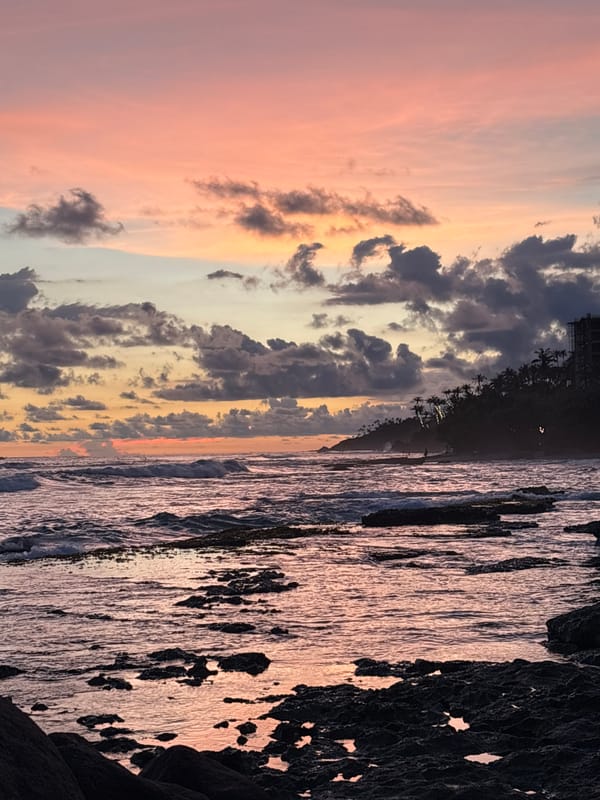 Sunset and tropical flora captured in Thalaramba, Sri Lanka